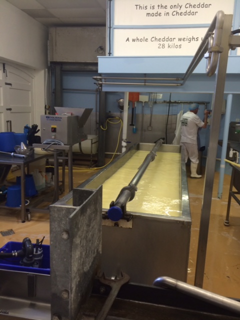 Cheddar-making process Cheddar-making process